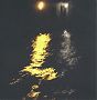 Liquid Light, 2011, 20 x 16 x 2 inches