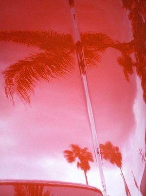 cherry apple palms